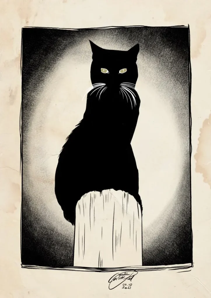 Day 6: Cat