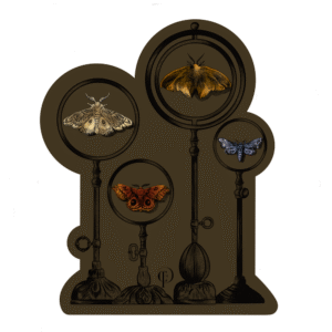 Moth - Sticker